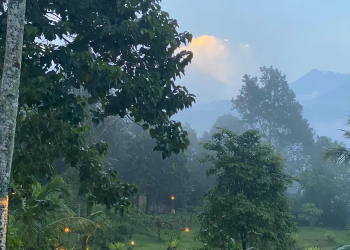 Dasa Vayu Retreat And * Jatiluwih