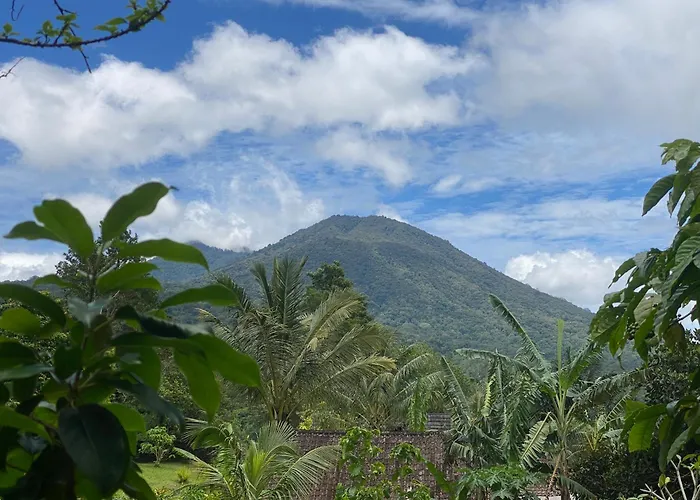 Dasa Vayu Retreat And Lodge *