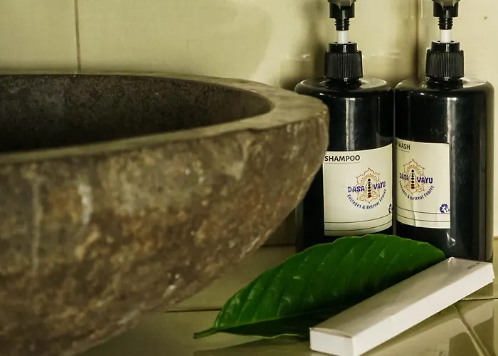 Dasa Vayu Retreat And Lodge *