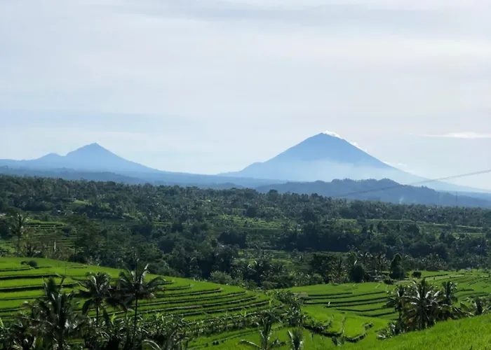 Dasa Vayu Retreat And Jatiluwih