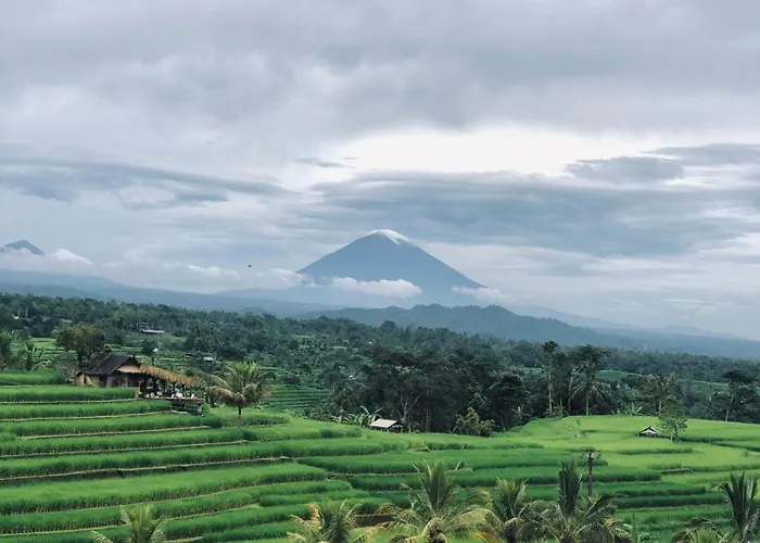Dasa Vayu Retreat And Jatiluwih